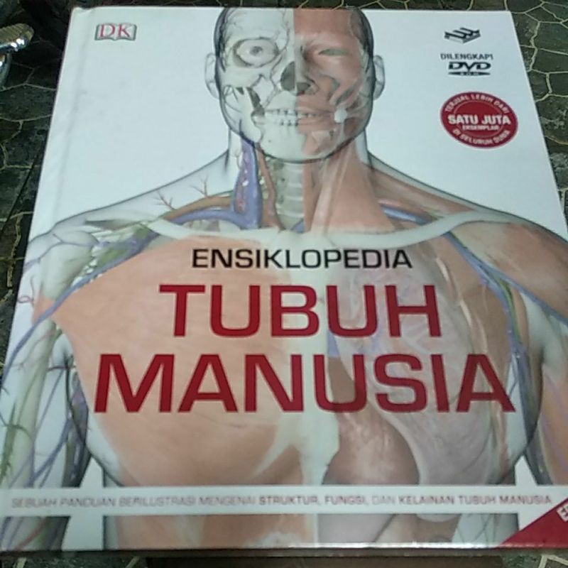 Jual Ensiklopedia Tubuh Manusia Steve Parker Original Erlangga Shopee