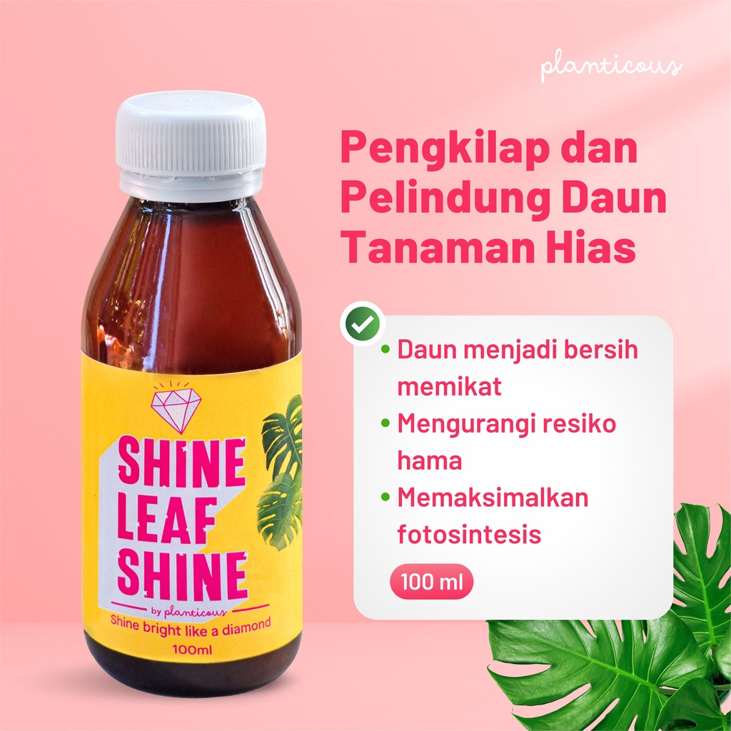 Jual Kilap Daun Shine Leaf Shine Ml Semir Pengkilap Daun Seketika