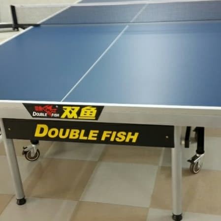 Jual Table Tenis Meja Pingpong Tenis Meja Double Fish Original Import