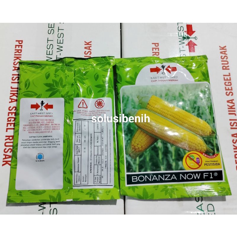 Jual Benih Bibit Jagung Manis BONANZA NOW F1 Isi 1 800 Butir Shopee