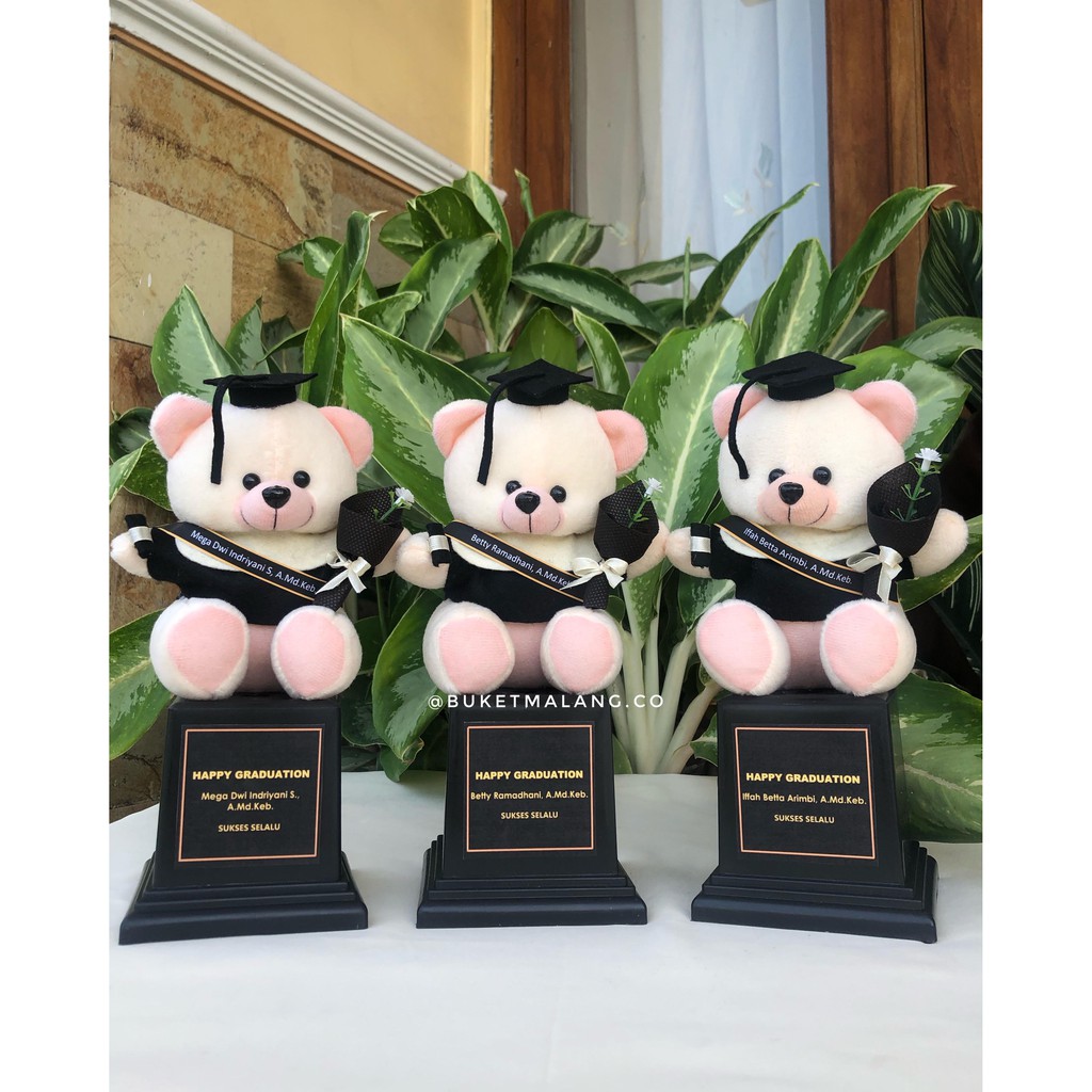 Jual Piala Boneka Wisuda Trophy Wisuda Kado Wisuda Hadiah Wisuda