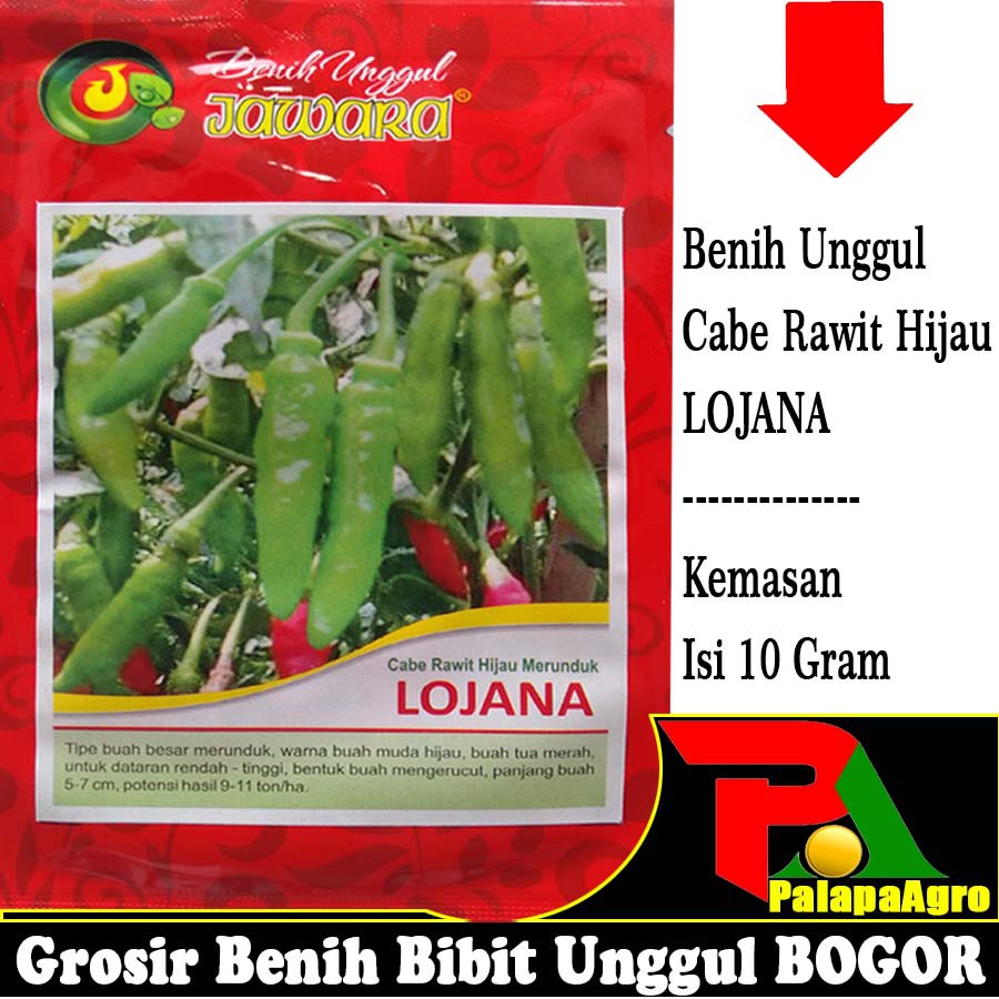 Jual Isi 10gram Benih Cabe Cawit Hijau Lojana Bibit Cabe Rawit