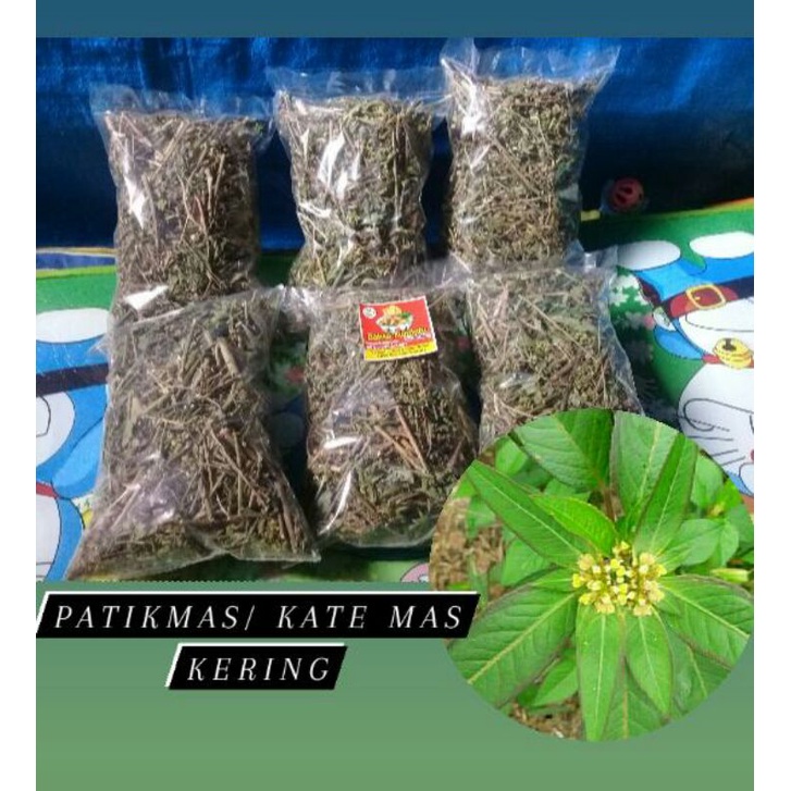 Jual Katemas Kering Kate Mas Gram Patik Mas Suduk Mentul Kering