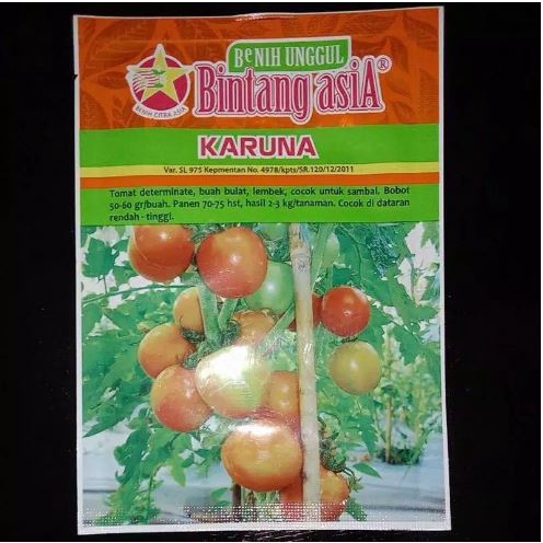 Jual Benih Bibit Tomat Sayur Karuna Gr Bintang Asia Shopee Indonesia