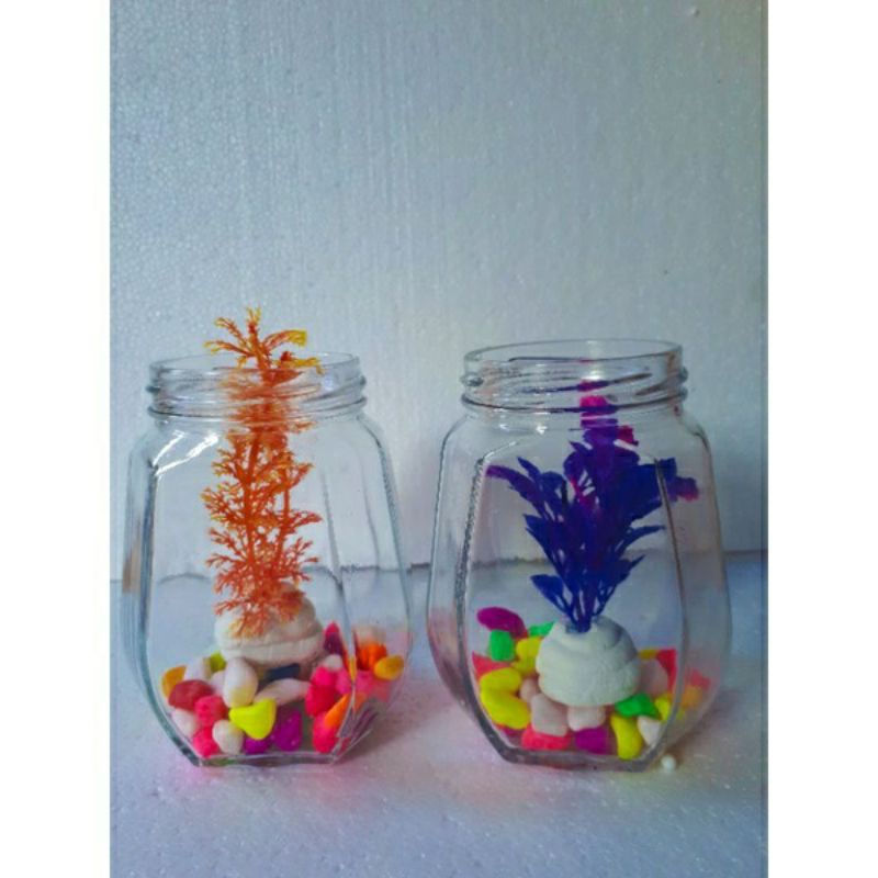 Jual Toples Ikan Cupang Botol Kaca Ikan Hias Aquarium Mini Ikan