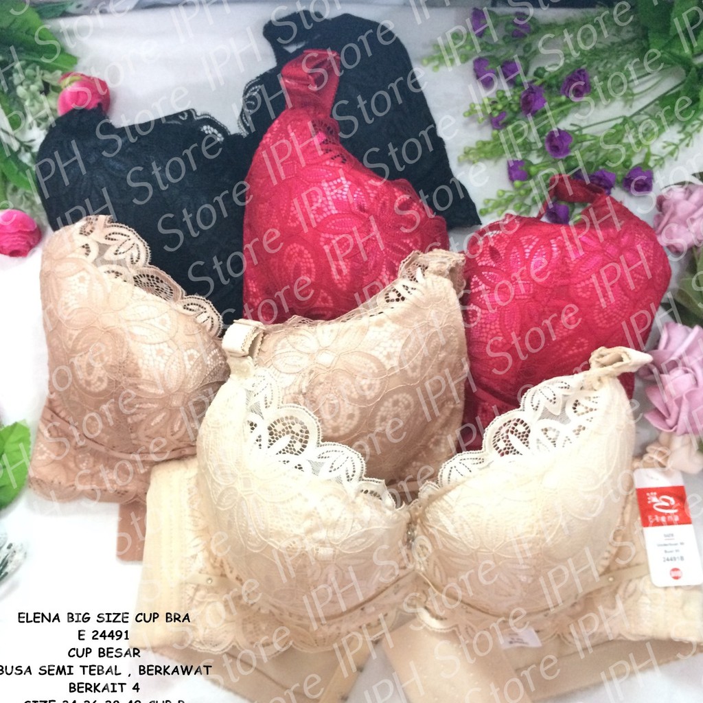 Jual Bra BH Elena 24491B Busa Sedang Kawat Kait 4 Cup B Bisa