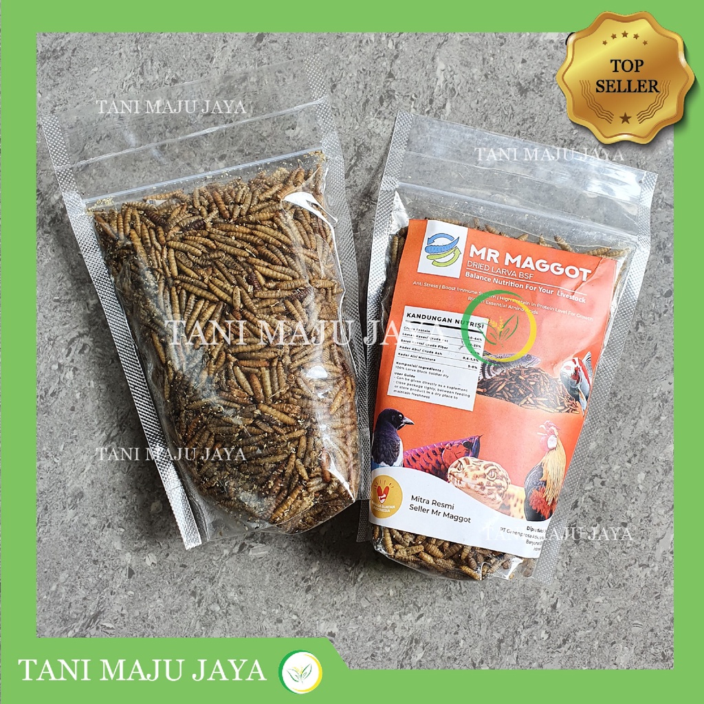 Jual Dried Maggot Bsf Grade A Gr Ulat Magot Kering Pakan Ikan