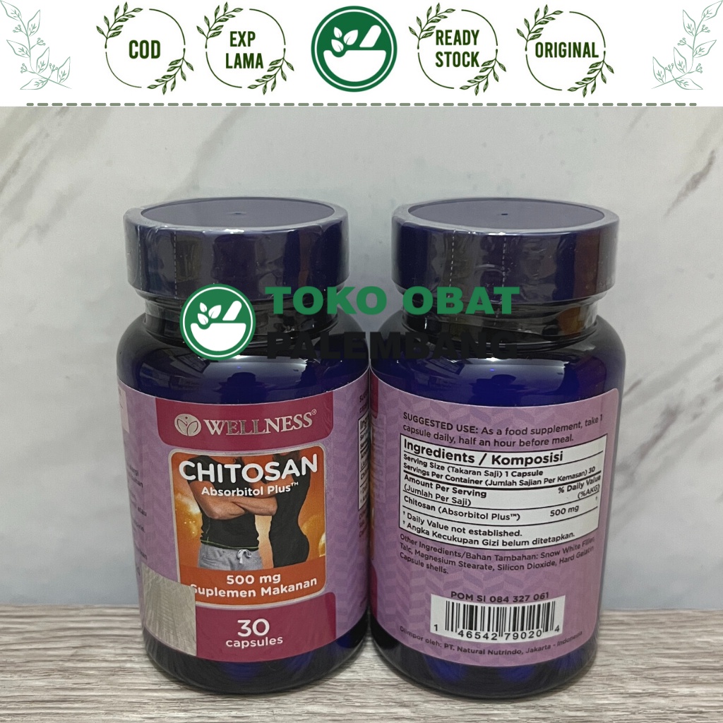 Jual WELLNESS CHITOSAN 500MG 30 KAPSUL LANGSING KURUS BERAT BADAN