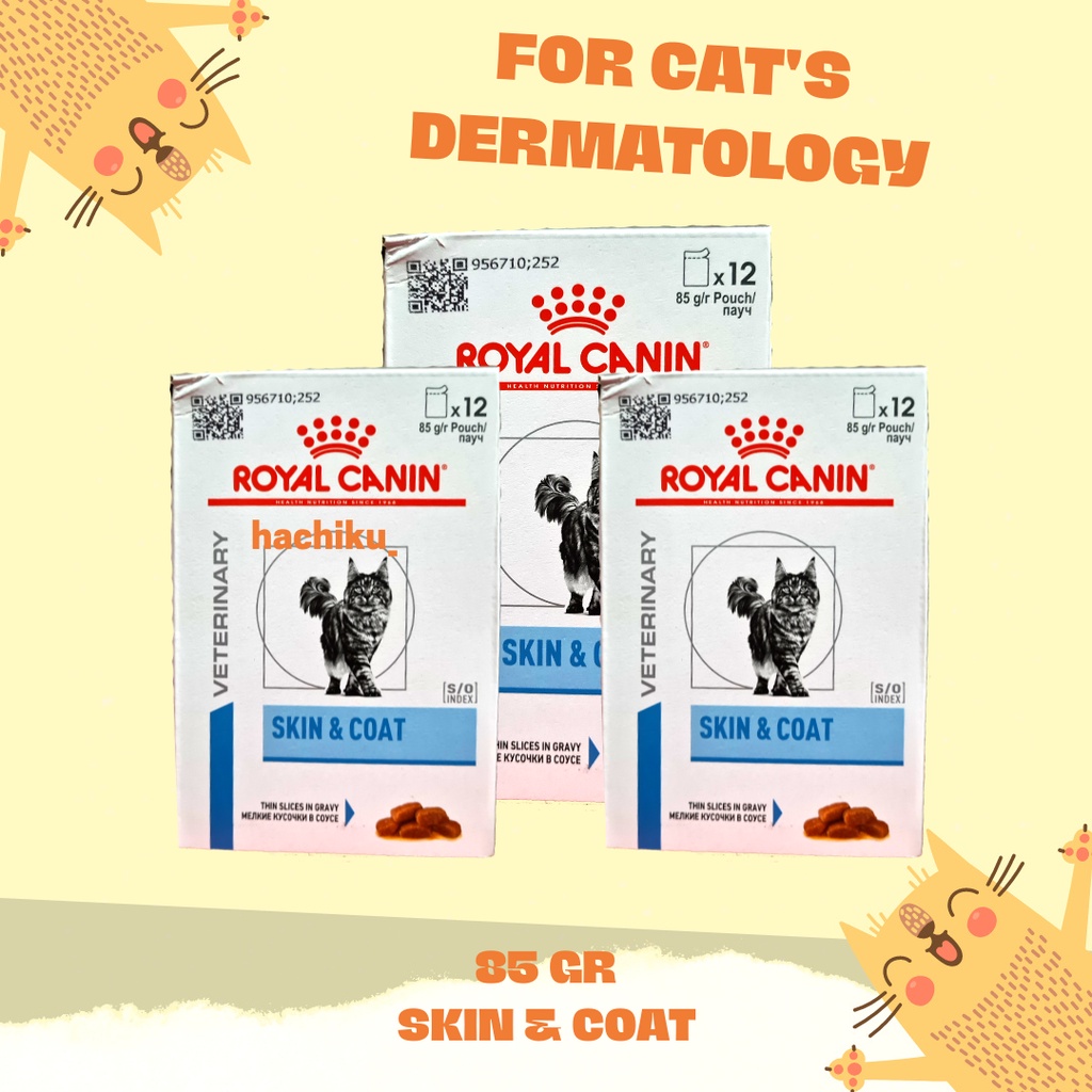 Jual Royal Canin Skin Coat Cat Gr Pouch Wet Food Makanan Basah