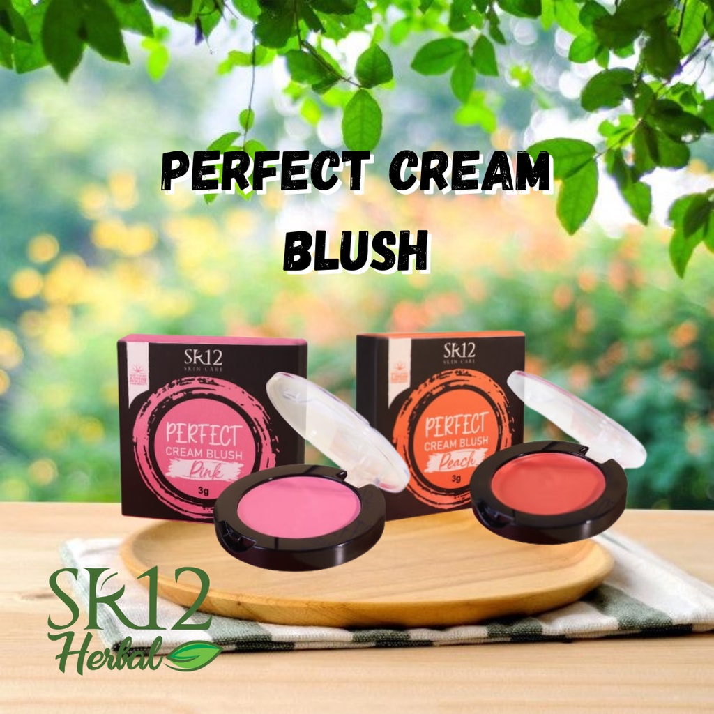 Jual Blush On Sr Perfect Cream Blush Gr Pewarna Dan Perona Pipi