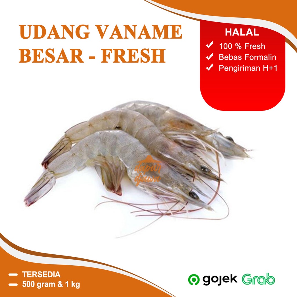 Jual Udang Vaname Panami Besar Jerbung Beku Frozen Gram Kg