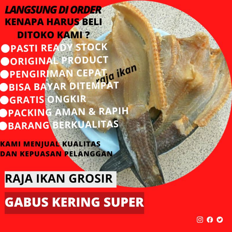 Jual Gabus Kering Asin Gram Super Bagus Shopee Indonesia