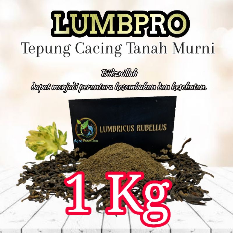 Jual Cacing Kering Lumbricus Rubellus Obat Typus Tipes Shopee Indonesia