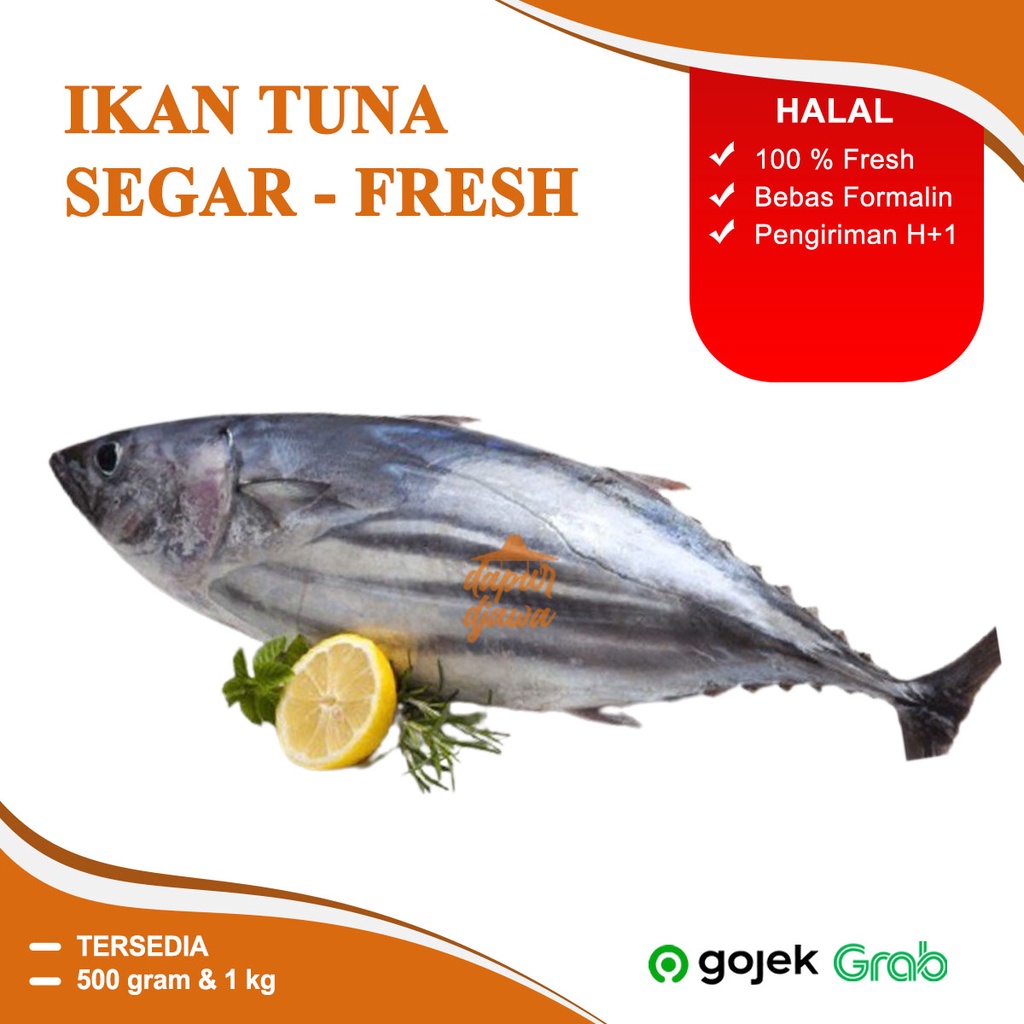 Jual Ikan Tuna Murni Segar Fresh Beku G Gram Kg Kiloan Per Ekor