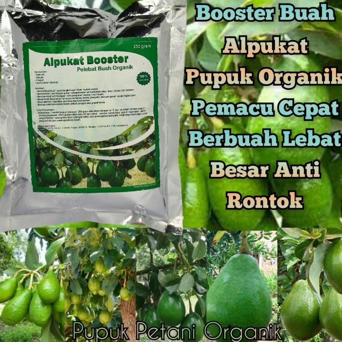 Jual Pupuk Organik Alpukat Booster Buah Alpukat Cepat Berbuah Lebat