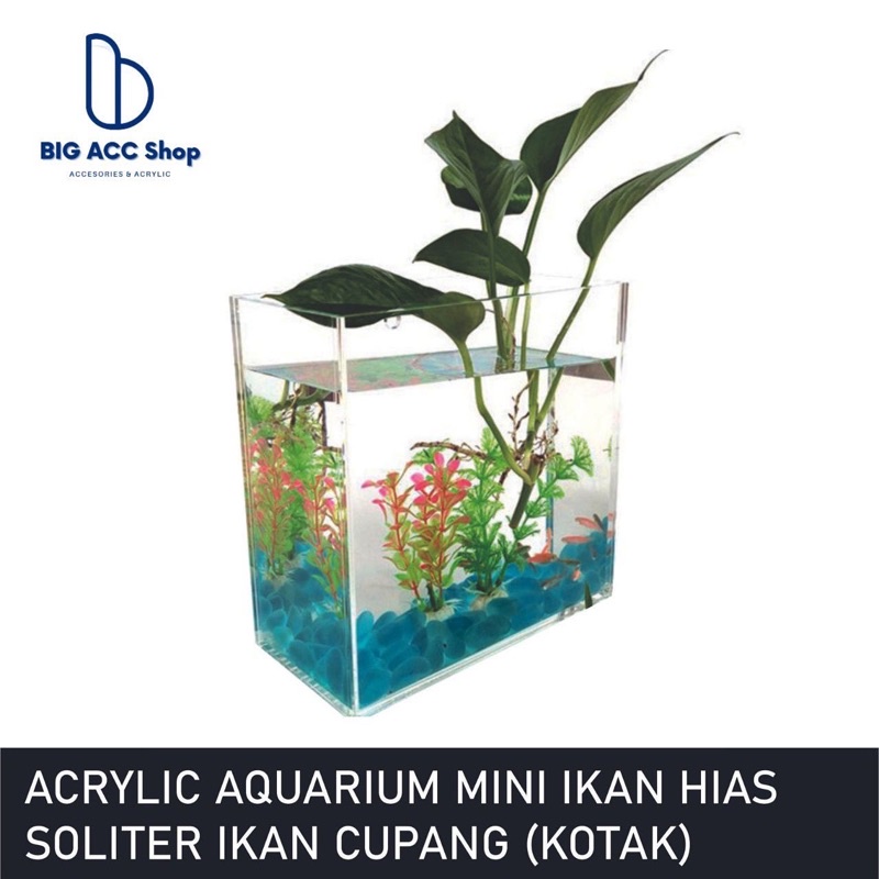 Jual Acrylic Aquarium Mini Ikan Hias Soliter Ikan Cupang Kotak