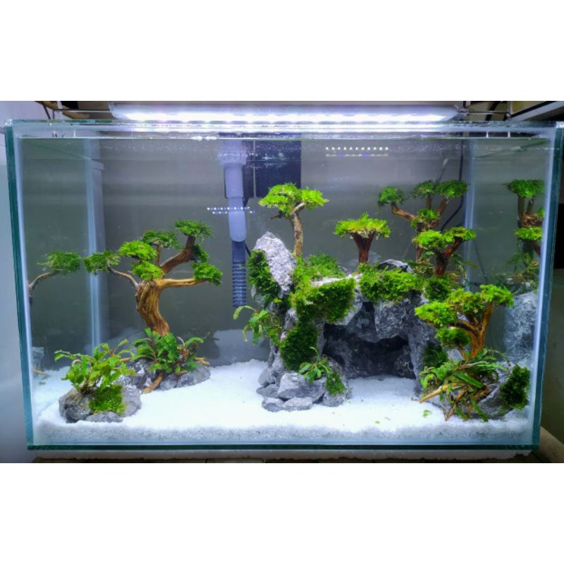 Jual Aquascape Tema Tebing Dan Goa Po Shopee Indonesia