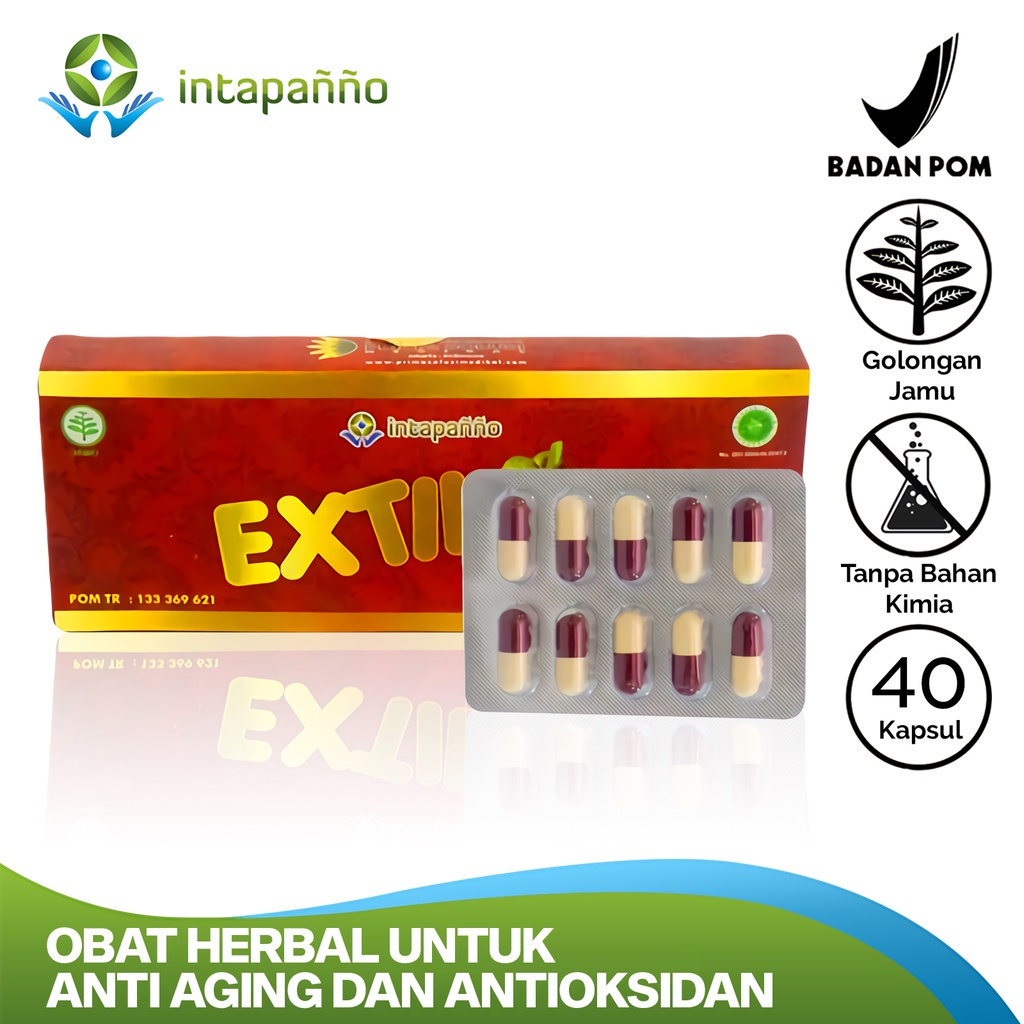 Jual INTAPANNO Extilo Obat Herbal Antioksidan 40 Kapsul Jamu