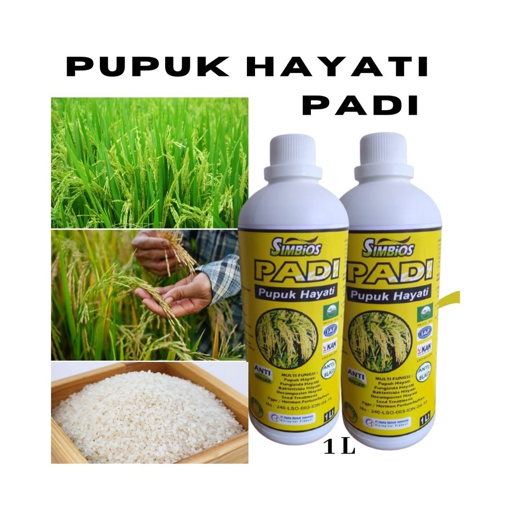 Jual Pupuk Hayati Padi Kencana Yang Bagus Anti Kresek Obat Trichoderma