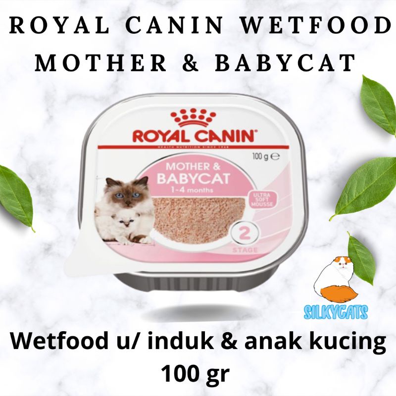 Jual Royal Canin Wetfood Mother Babycat 100gr Makanan Basah Induk