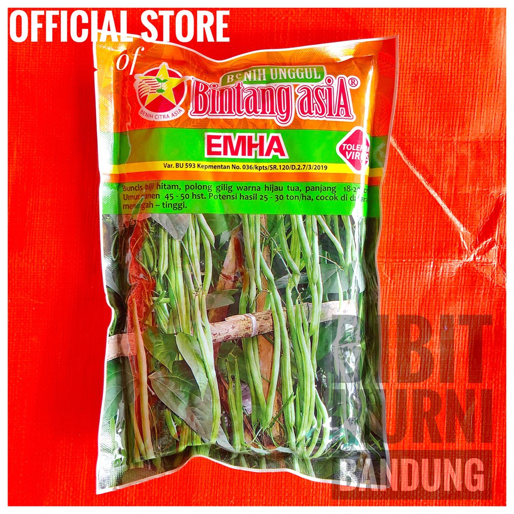 Jual Benih Bibit Buncis Emha Gram Original Pack Shopee Indonesia