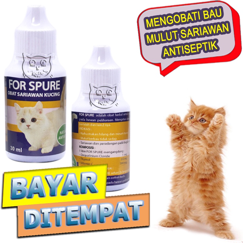 Jual For Spure Antiseptik Obat Sariawan Bau Mulut Bengkak Kucing