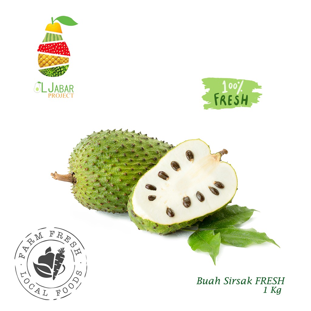 Jual Fresh Sirsak Segar Kg Soursop Fruit Buah Sirsak Buah Segar