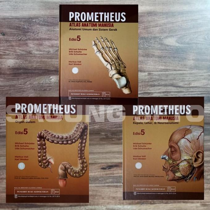 Jual Prometheus Atlas Anatomi Manusia Edisi New Promet Prome