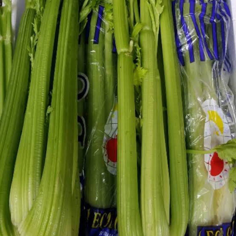 Jual Seledri Import Celery 1 Kg Shopee Indonesia