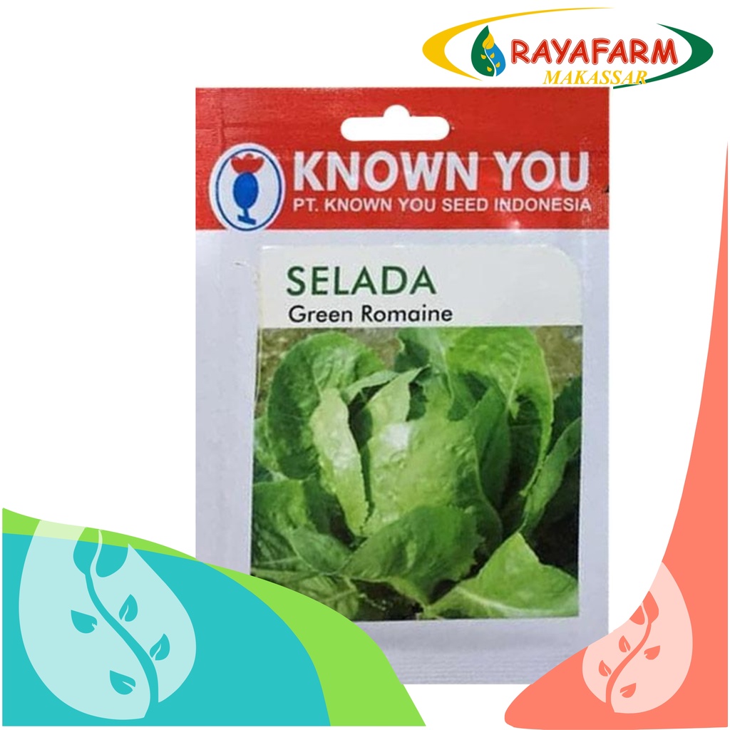 Jual Benih Selada Green Romaine Gr Known You Seed Shopee Indonesia