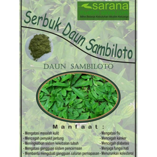 Jual Serbuk Bubuk Sambiloto Kemasan Gr Asli Kaya Manfaat Shopee