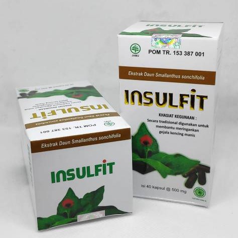 Jual Herbal Ekstrak Daun Insulin Kapsul Insulfit Herbal Obat Diabetes