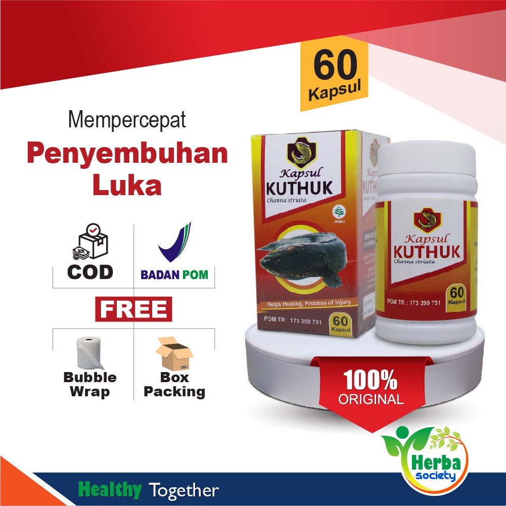 Jual Kapsul Kutuk Ikan Gabus Premium Asli Original Albumin Asli