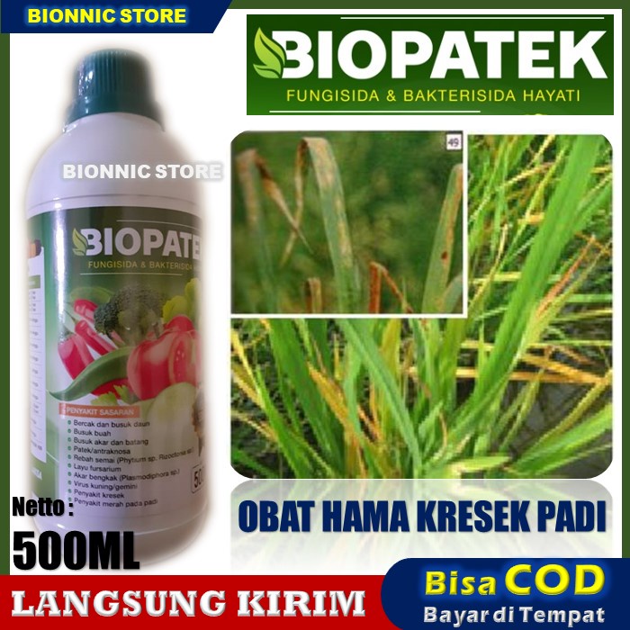 Jual Biopatek Fungisida Bakterisida Hayati Obat Hama Kresek Pada Padi