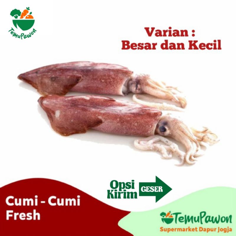 Jual CUMI CUMI SEAFOOD SEGAR PER PACK Bahan Sea Food Cumi Segar Fresh