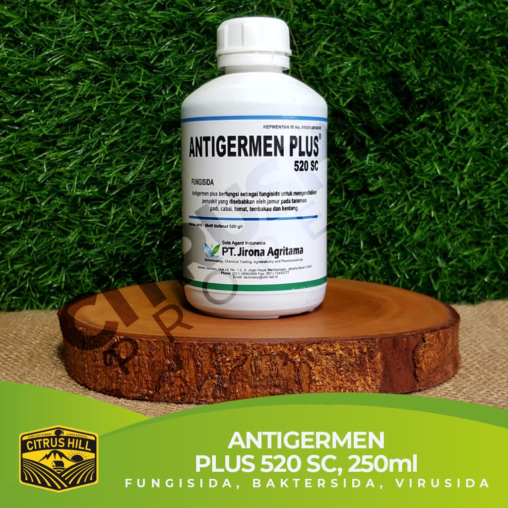 Jual Antigermen Plus Sc Fungisida Bakterisida Virusida Shopee