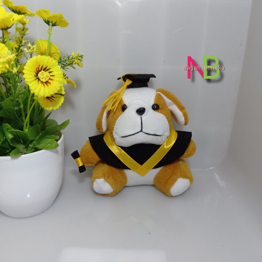 Jual Fn K Original Realpict Boneka Wisuda Bear Mini Ukuran