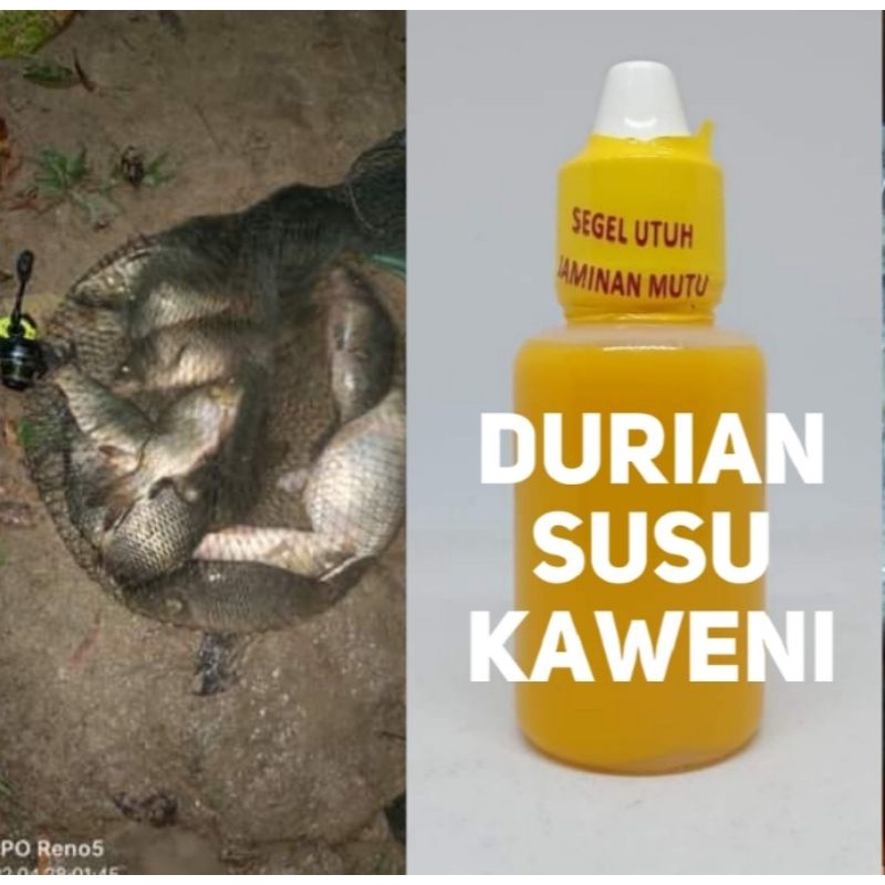 Jual Durian Susu Kaweni 30ml Spesial Ikan Mas Anti Bocos Total Rame