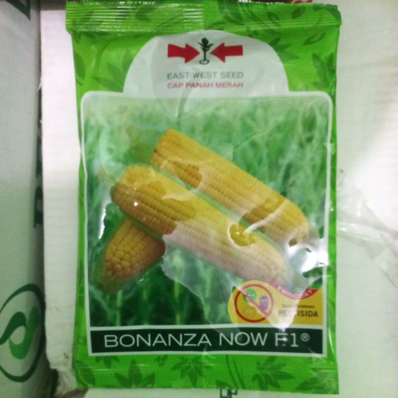 Jual Benih Jagung Manis Bonanza Now F Isi Biji Shopee Indonesia