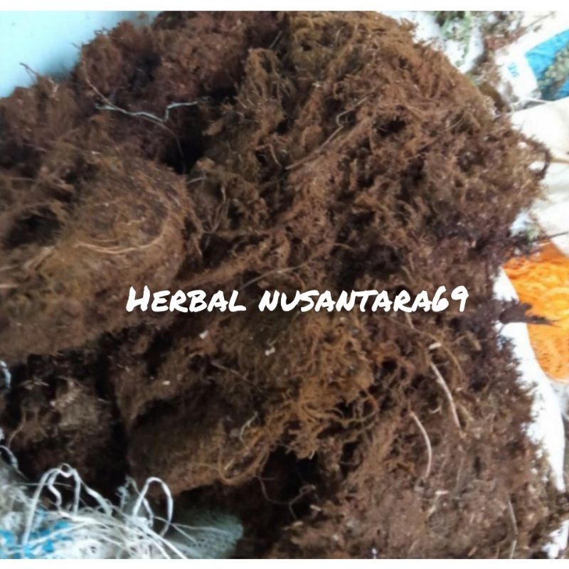 Jual Akar Kadaka MOSS Hitam Media Tanam 500gr Shopee Indonesia