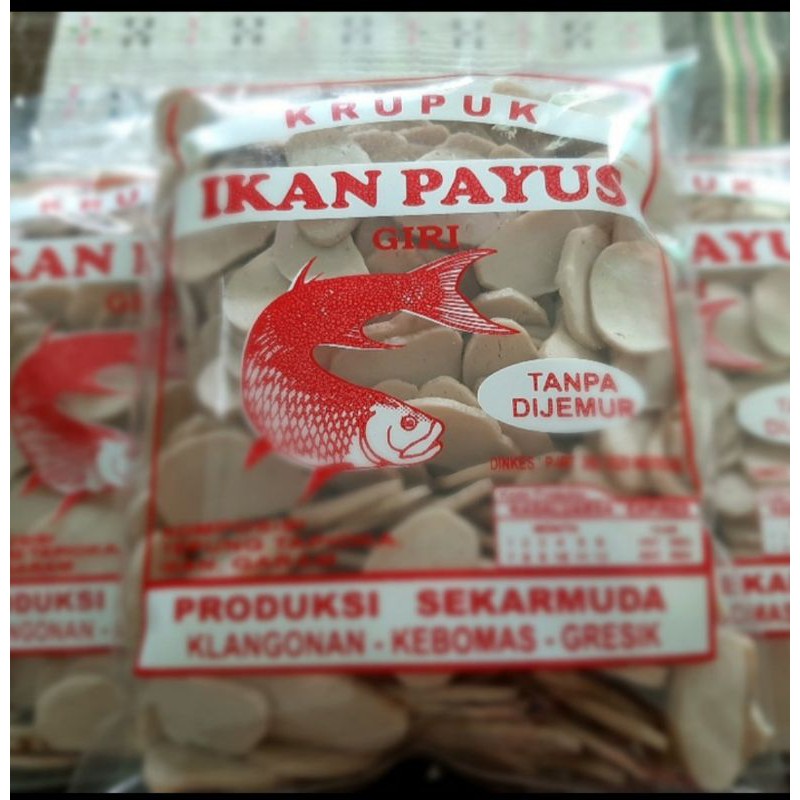 Jual Kerupuk Ikan Payus Mentah Asli Gresik Shopee Indonesia