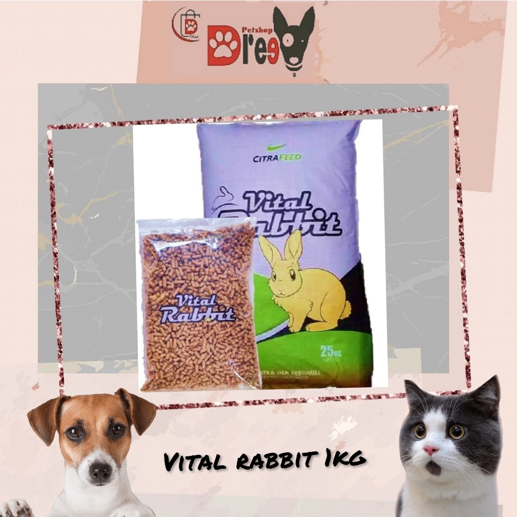 Jual Citrafeed Citra Feed Vital Rabbit Kg Repack Makanan Kelinci