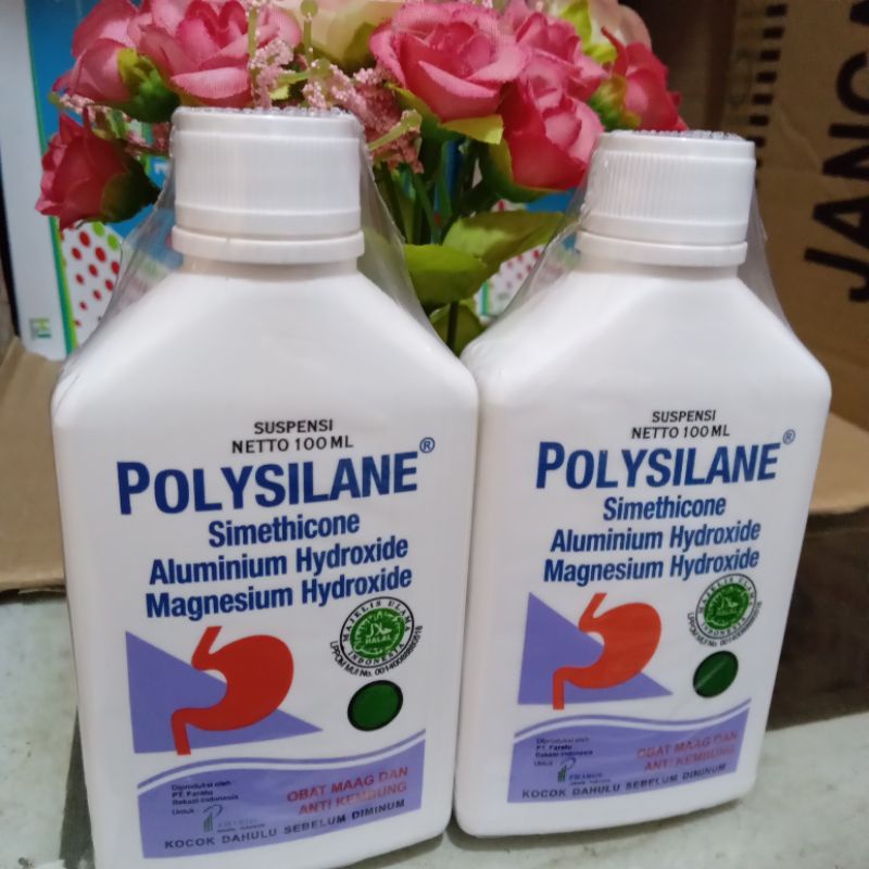 Jual Polysilane Sirup 100 Ml Exp Date Des 2024 Shopee Indonesia