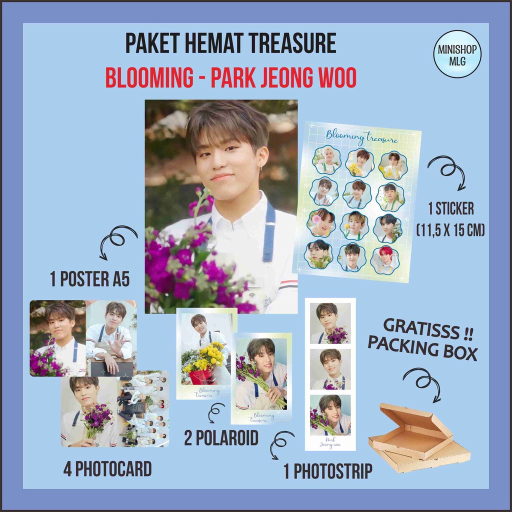 Jual Freebox Paket Hemat Treasure Blooming Fankit Treasure Blooming