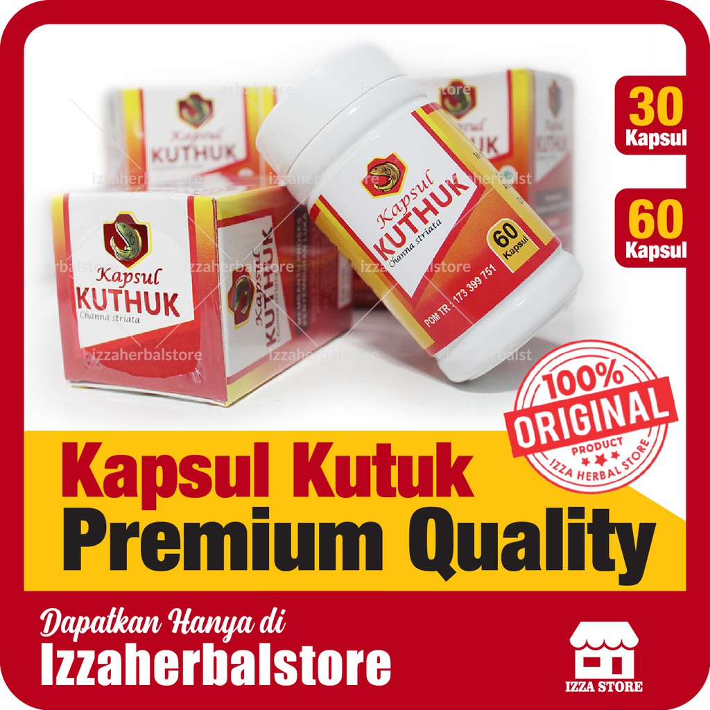 Jual KAPSUL KUTUK PREMIUM QUALITY KUTHUK Albumin Ikan Gabus Original