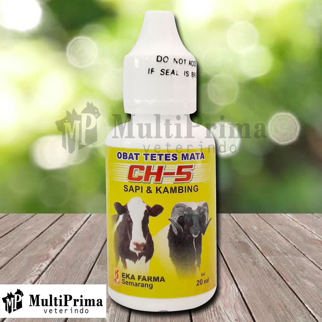 Jual CH 5 Obat Tetes Mata Sapi Kambing 20ml EKA FARMA Shopee Indonesia