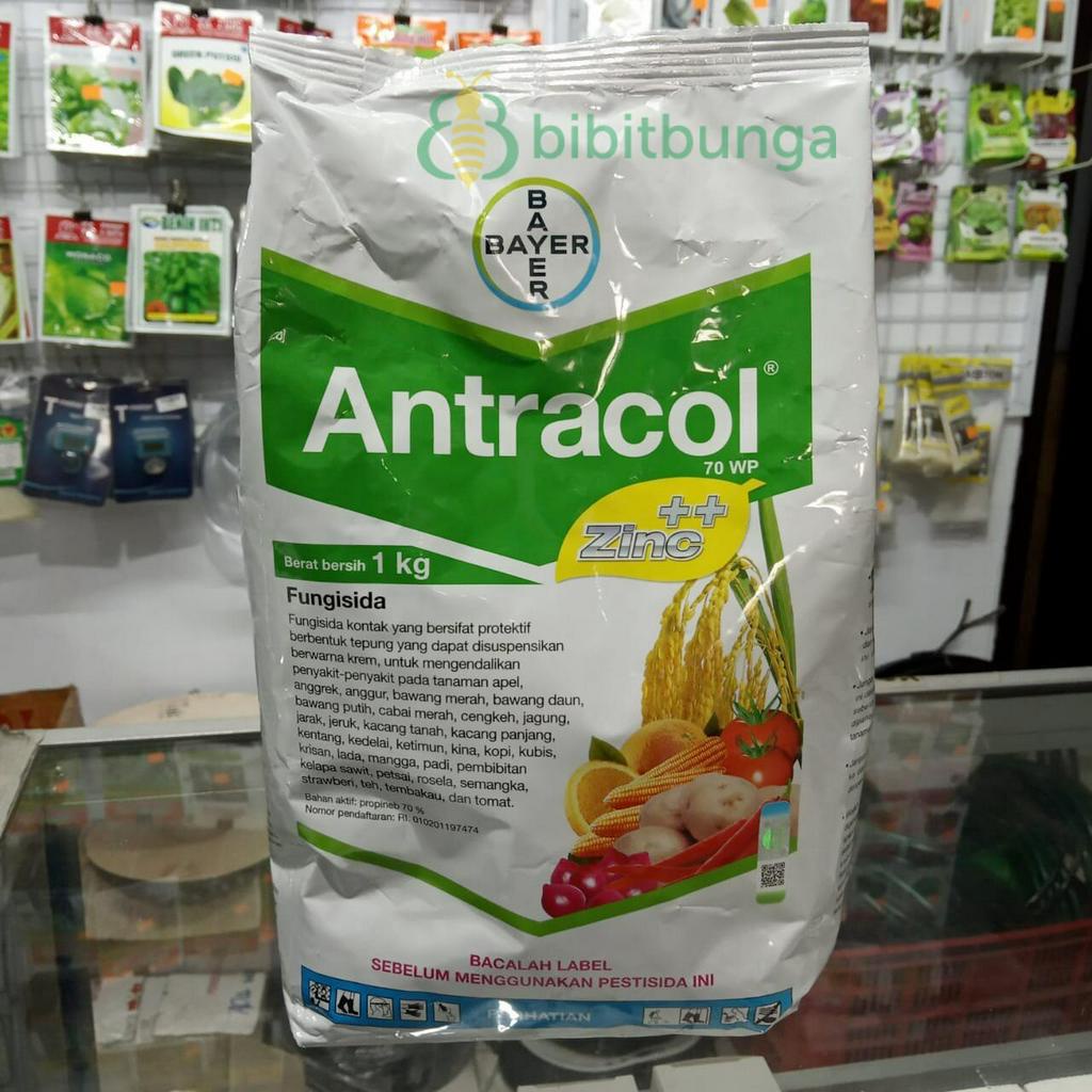 Jual Antracol Wp Kg Fungisida Obat Pengendali Jamur Tanaman Wp