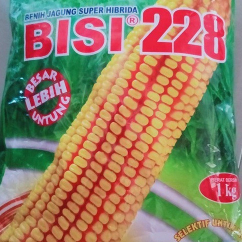 Jual Benih Jagung Hibrida BISI 228 1KG Shopee Indonesia