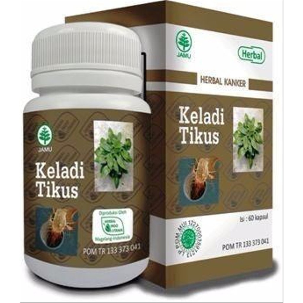 Jual Kapsul Keladi Tikus Herbal Indo Utama Herbal Kanker Shopee