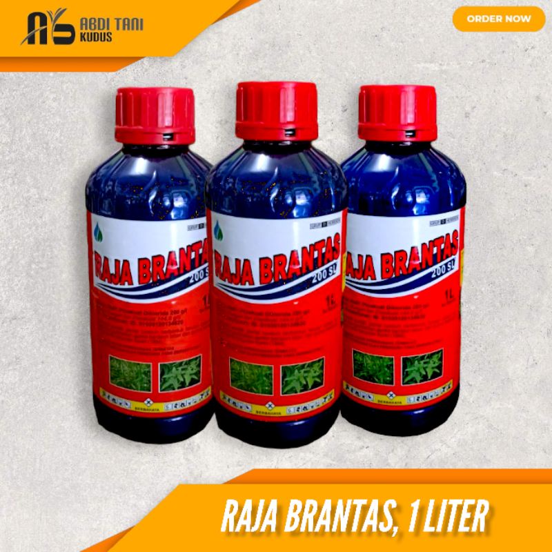 Jual Herbisida Raja Brantas Sl Liter Pembasmi Rumput Cepat